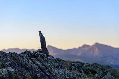 Close-up of rock against sky during sunset