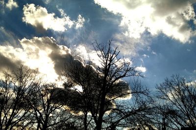 Low angle view of silhouette tree against sky