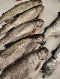 Close-up of fish for sale at market