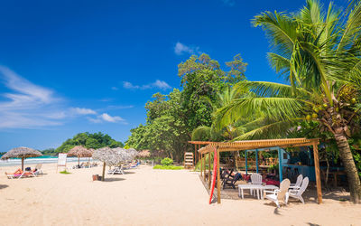 Palm trees on beach against blue sky