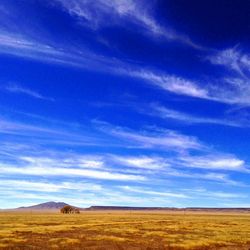 Scenic view of field against cloudy sky