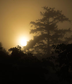 Silhouette trees in forest against sky during sunset