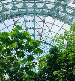 Low angle view of skylight in greenhouse