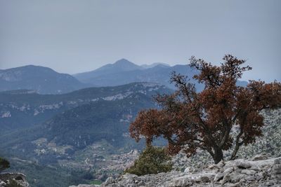 Scenic view of mountains against clear sky