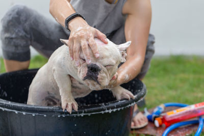 Woman bathing dog in tub at yard