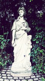 Plants growing on tree trunk