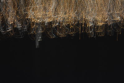 Fireworks in sky at night