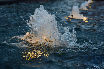 Close-up of frozen water