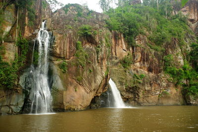 Scenic view of waterfall in forest