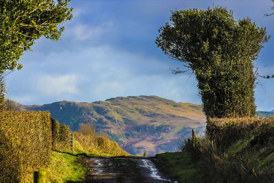 Scenic view of tree mountains against sky