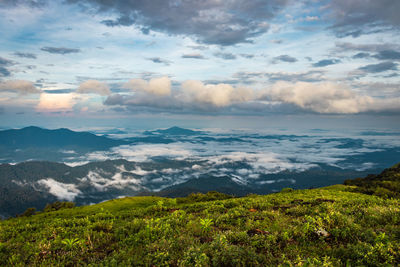 Scenic view of landscape against sky