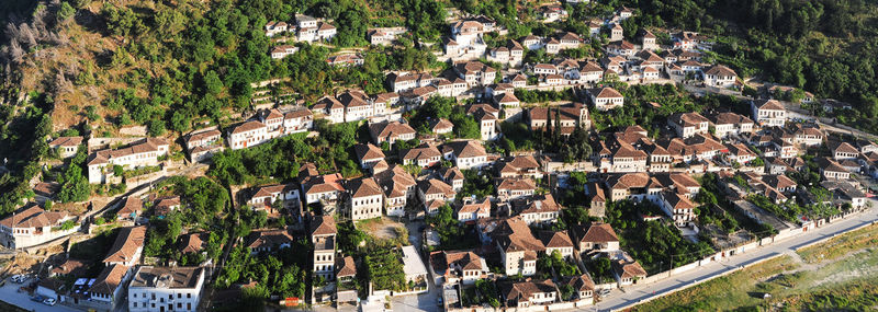 High angle view of trees and buildings in town