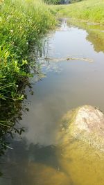 High angle view of lake