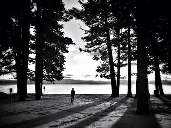 Rear view of silhouette people standing at beach