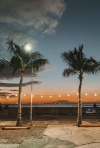 Palm trees by swimming pool against sky during sunset