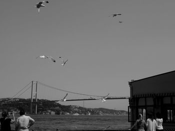 Seagulls flying over sea against clear sky