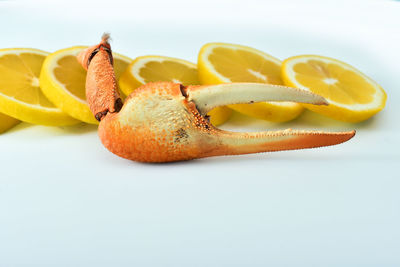Close-up of orange fruit against white background