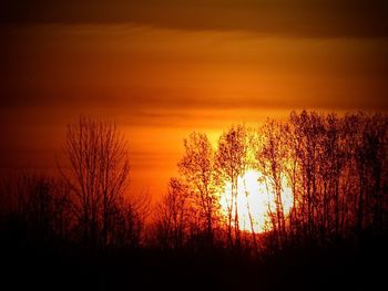 Silhouette trees on landscape against orange sky