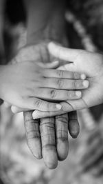 Close-up of family holding hands