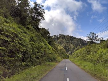 Empty road amidst trees against sky