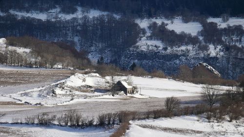 Scenic view of snow covered field