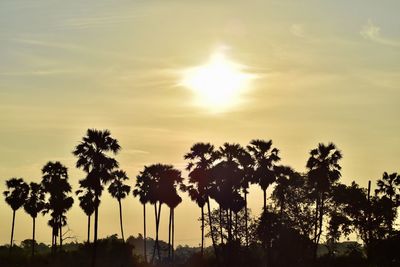 Low angle view of silhouette palm trees against sky during sunset