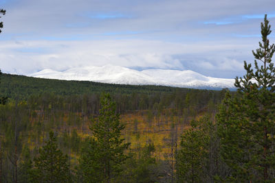 Scenic view of landscape against sky