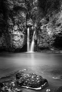 Scenic view of waterfall in forest