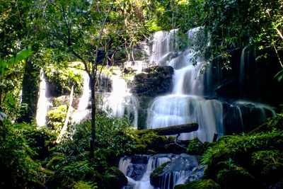 Waterfall in forest