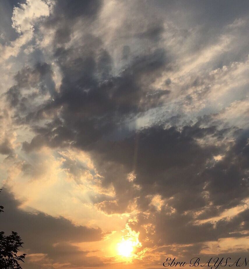 sunset, sky, beauty in nature, low angle view, cloud - sky, tranquility, sun, scenics, tranquil scene, nature, cloudy, idyllic, orange color, sunlight, sunbeam, cloud, outdoors, dramatic sky, no people, back lit, cloudscape, majestic, weather, growth, overcast, backgrounds, non-urban scene