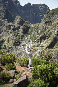 mountain