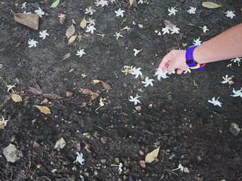 Low section of person standing on tiled floor