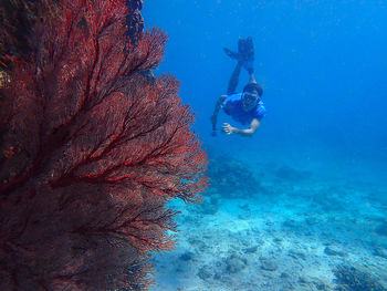 Man swimming in sea