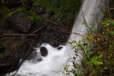 High angle view of waterfall in forest