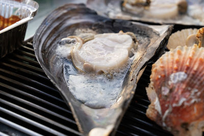 Close-up of food