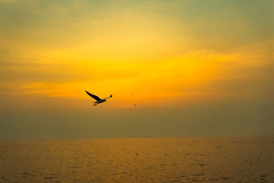 Silhouette bird flying over sea against orange sky