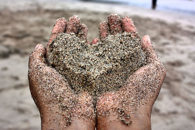 Cropped hands holding wet sand at beach