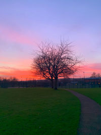 Bare tree on field against sky during sunset