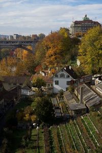 High angle view of trees and buildings against sky