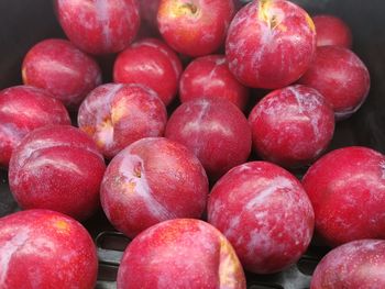 Full frame shot of plums in market