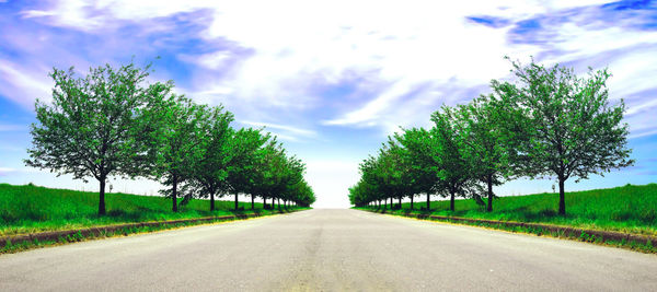 Road amidst trees on field against sky