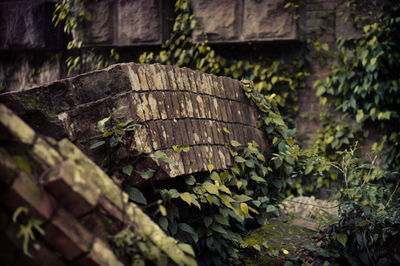 Close-up of old wooden wall