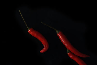 Close-up of red chili pepper against black background