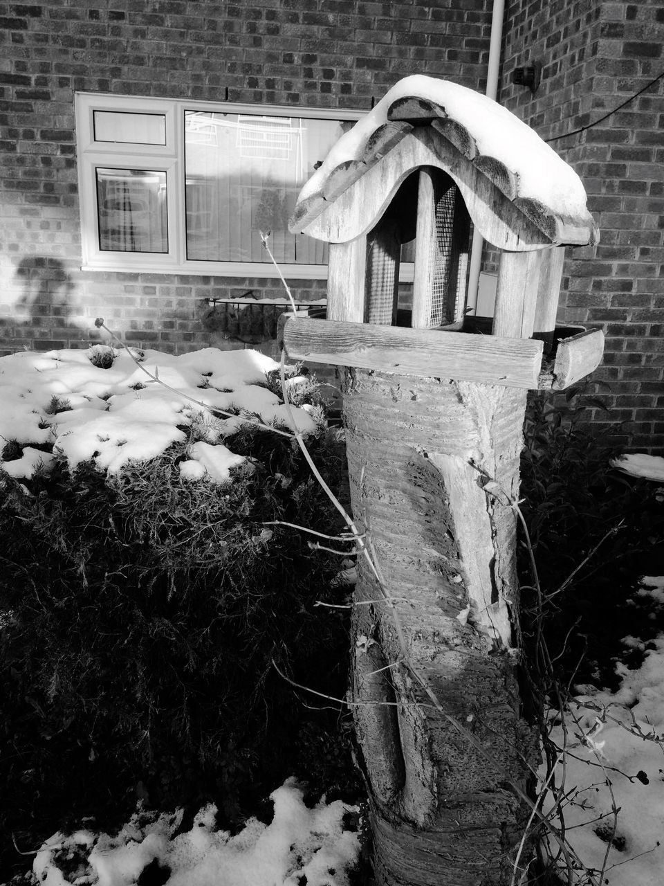 CLOSE-UP OF BUILT STRUCTURE AGAINST PLANTS