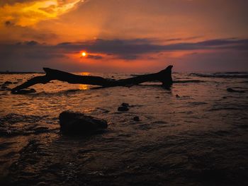 Silhouette driftwood on beach against sky during sunset