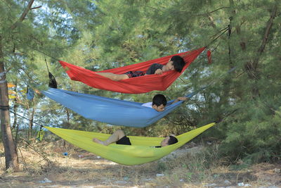 Side view of man on hammock in forest