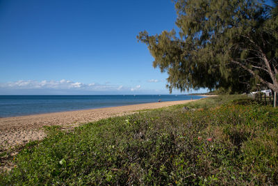 Scenic view of sea against clear sky