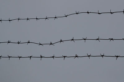 Close-up of barbed wire against clear sky