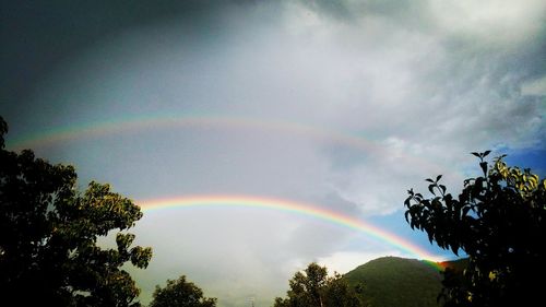 Low angle view of rainbow over trees