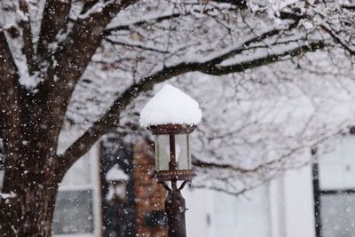 Close-up of snow on light